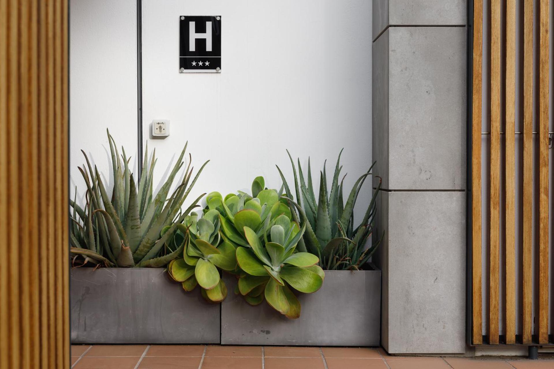 Hotel Hcp Calella De Palafrugell Exterior photo
